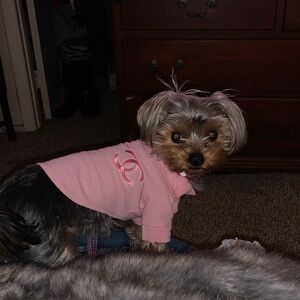 Beautiful Dog polo little tight she can’t wear